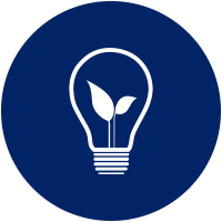 light bulb icon